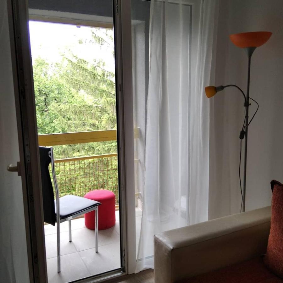 Apartman 4 - Studio Janja Сокобаня Экстерьер фото