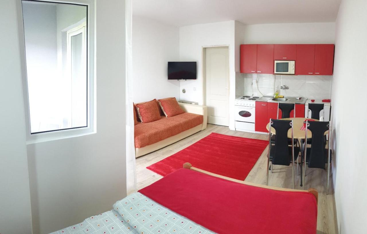 Apartman 4 - Studio Janja Сокобаня Экстерьер фото