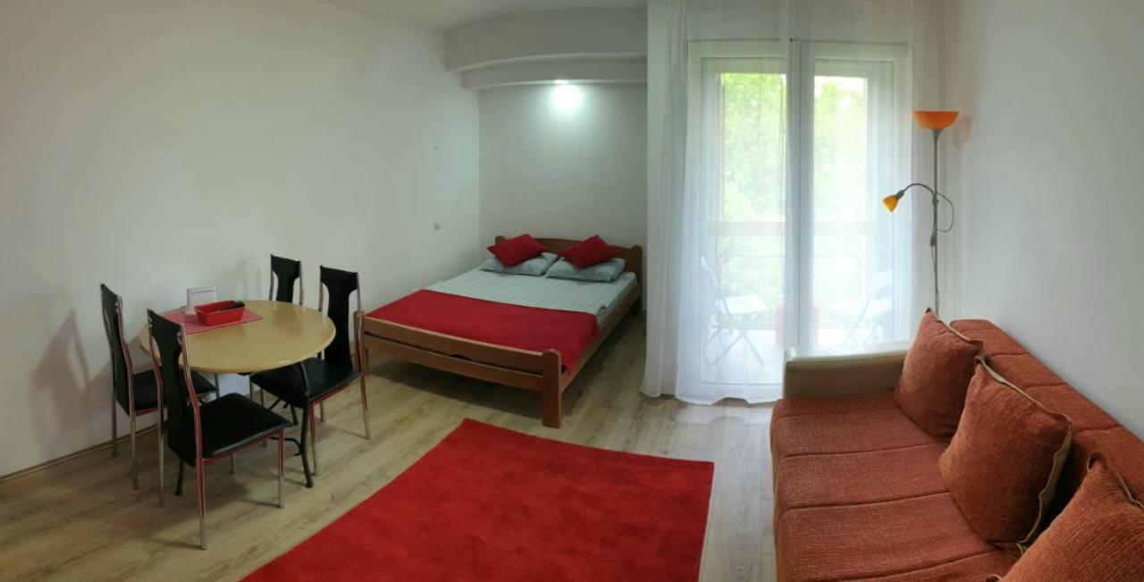 Apartman 4 - Studio Janja Сокобаня Экстерьер фото